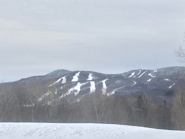 view of mountain feature