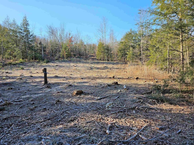 view of yard with a wooded view