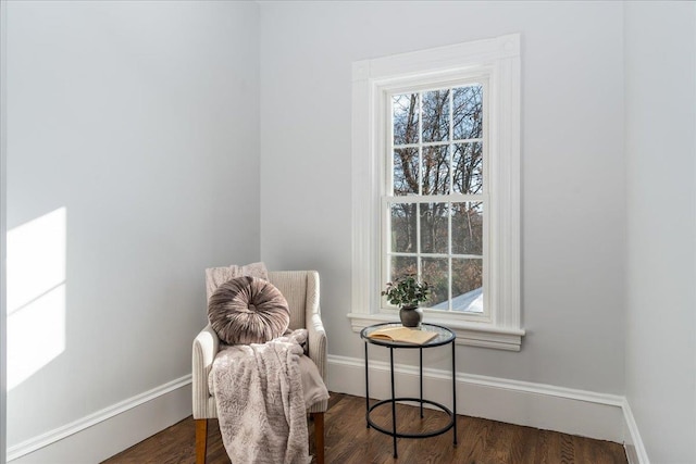 living area with dark wood-type flooring