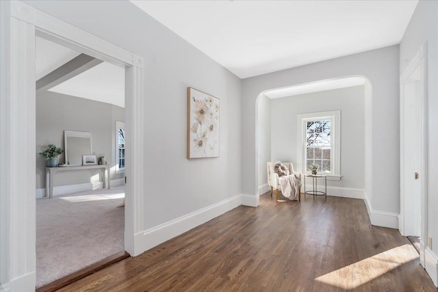 sitting room with dark hardwood / wood-style floors