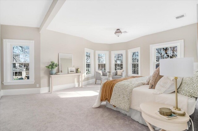 bedroom featuring light carpet and multiple windows