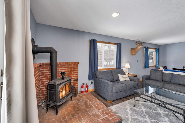 living room with a wood stove and hardwood / wood-style flooring