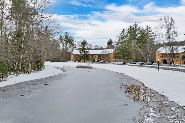 view of snowy yard