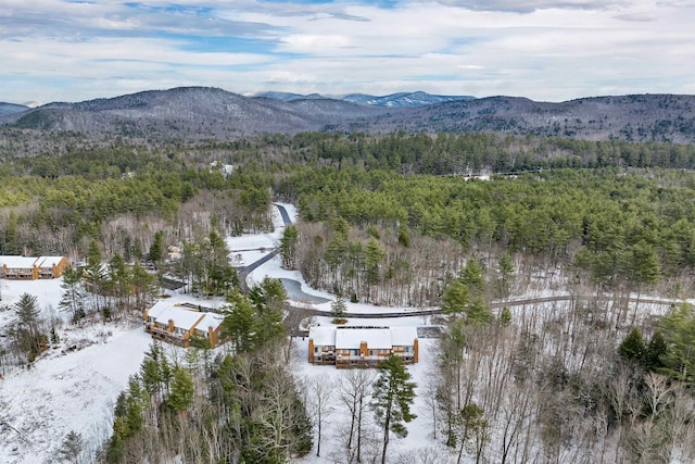 snowy aerial view featuring a mountain view