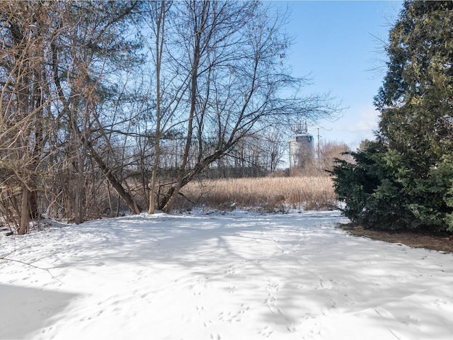 view of yard covered in snow