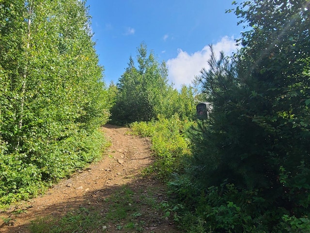 1501 Eligo Lake Rd, Greensboro VT, 05843 land for sale