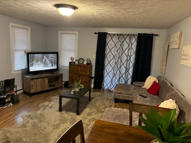 living room with hardwood / wood-style flooring, a textured ceiling, and a healthy amount of sunlight