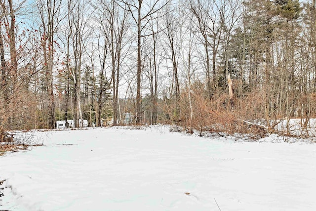 view of yard covered in snow