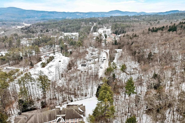 snowy aerial view featuring a mountain view