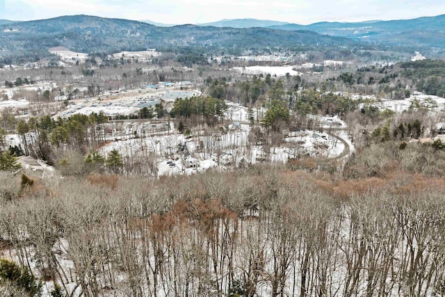 snowy aerial view featuring a mountain view