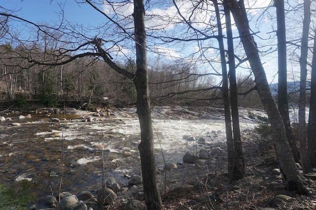 view of local wilderness