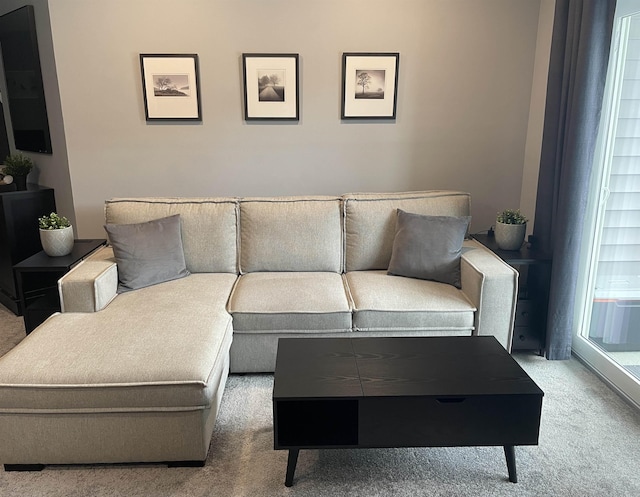 living room featuring carpet floors