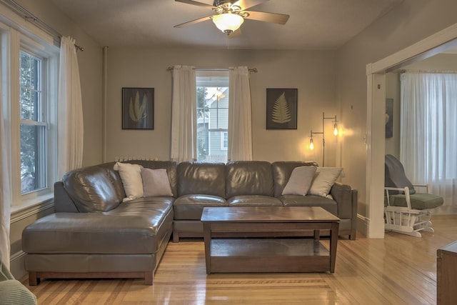 living room with ceiling fan and light hardwood / wood-style floors