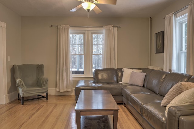 living room with ceiling fan and light hardwood / wood-style flooring