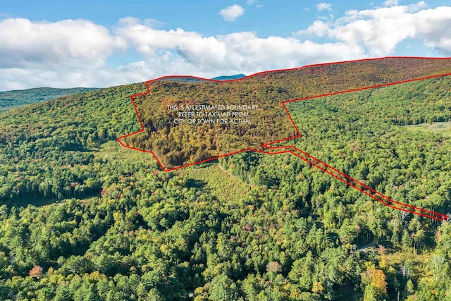 0 Forbes Mountain Rd, Danbury NH, 03230 land for sale