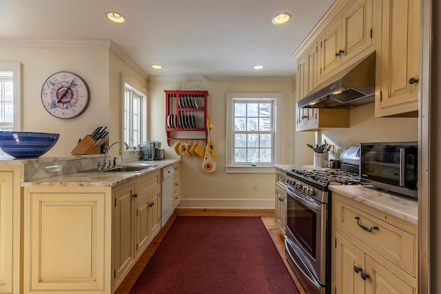 kitchen featuring stainless steel gas stove, dark hardwood / wood-style floors, crown molding, and sink