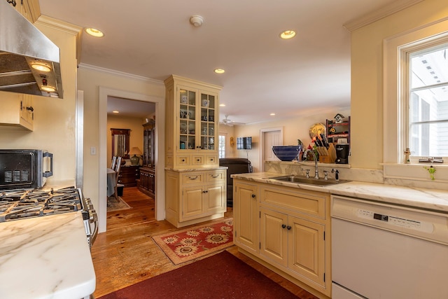 kitchen featuring white dishwasher, sink, light wood-type flooring, range hood, and a healthy amount of sunlight