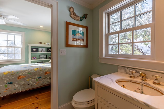 bathroom with vanity, ceiling fan, ornamental molding, and a wealth of natural light