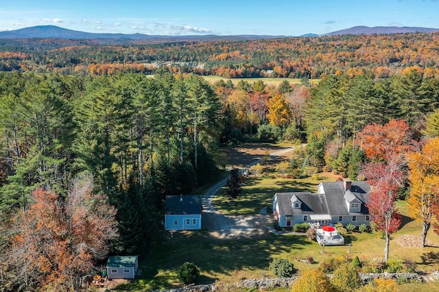 birds eye view of property featuring a mountain view