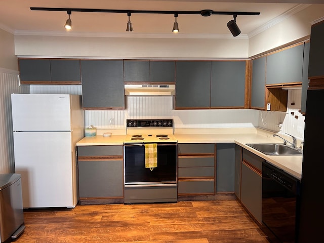 kitchen featuring hardwood / wood-style floors, white appliances, sink, rail lighting, and range hood