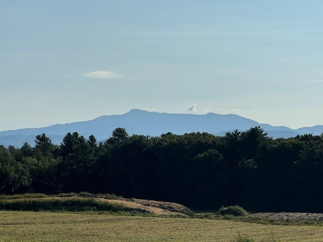 view of mountain feature