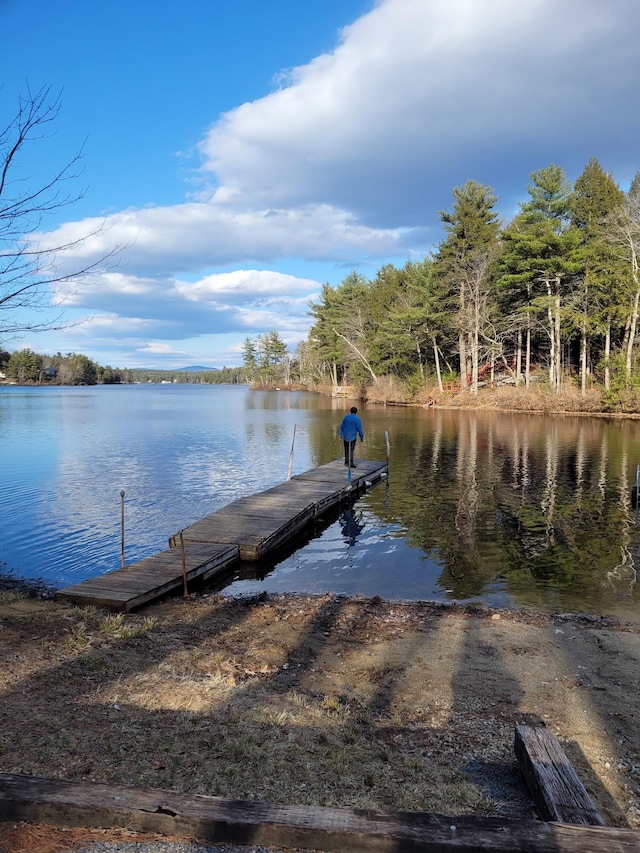 view of dock featuring a water view