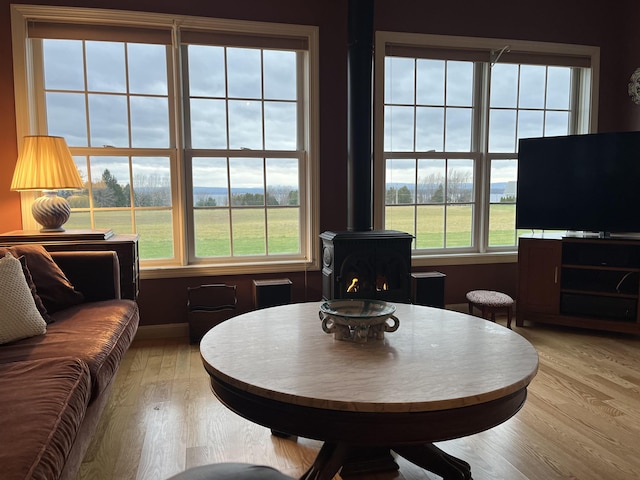 interior space with a wood stove and light hardwood / wood-style flooring