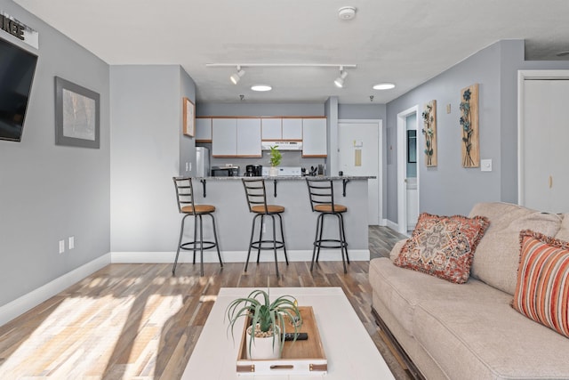 living room with rail lighting and light wood-type flooring