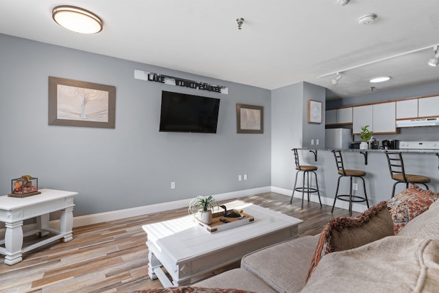 living room featuring light wood-type flooring and track lighting