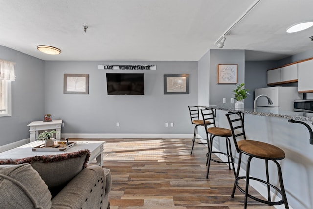 living room with wood-type flooring and rail lighting