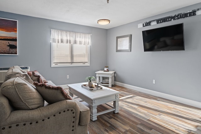 living room with hardwood / wood-style floors