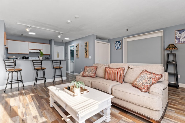 living room featuring light wood-type flooring and track lighting