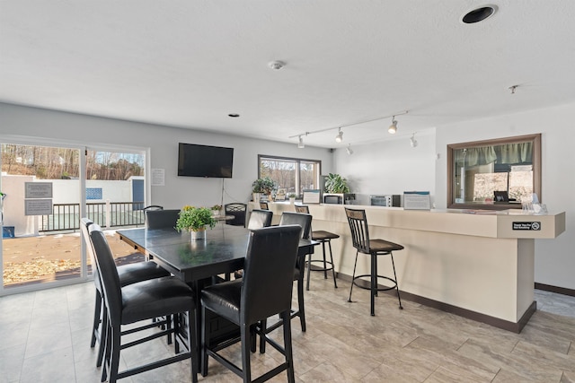 dining space featuring a healthy amount of sunlight