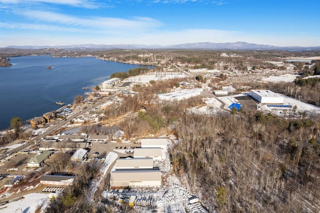 bird's eye view featuring a water and mountain view