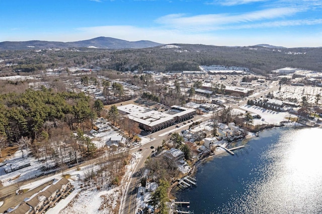 birds eye view of property with a water and mountain view