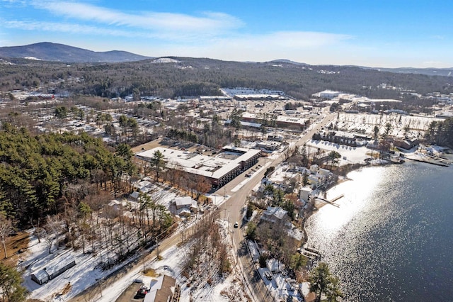 birds eye view of property featuring a water and mountain view