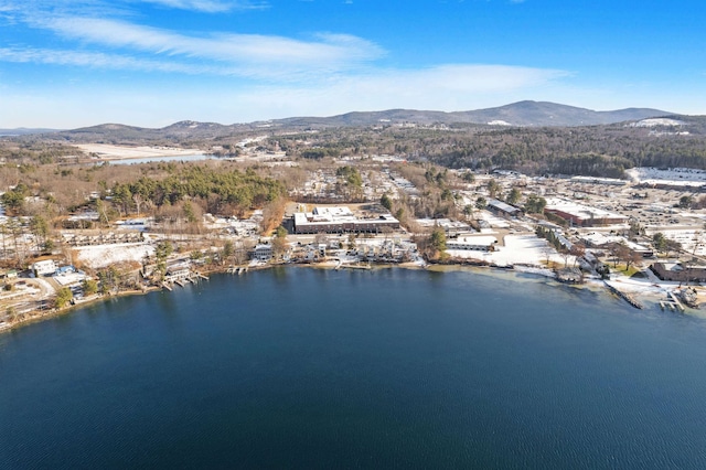 drone / aerial view with a mountain view