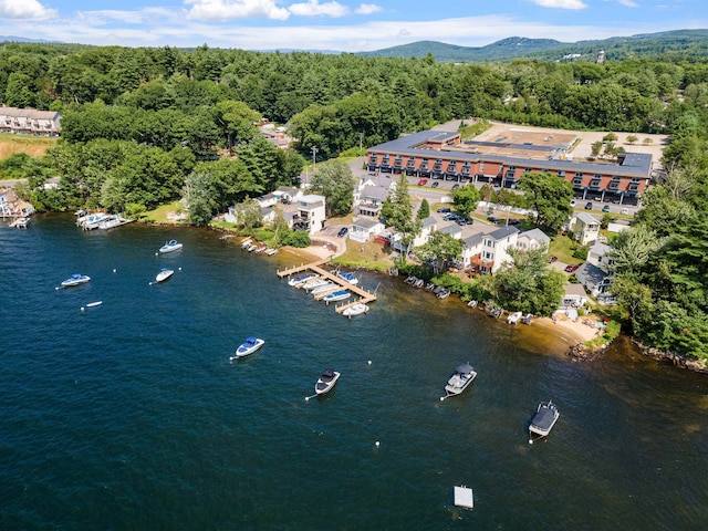 drone / aerial view with a water and mountain view