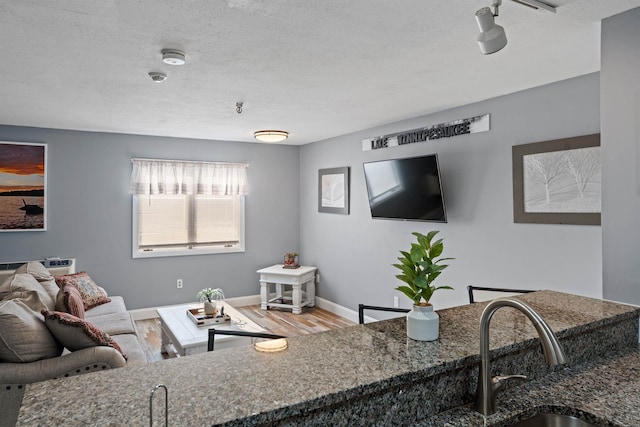 living room featuring hardwood / wood-style flooring, sink, a textured ceiling, and track lighting