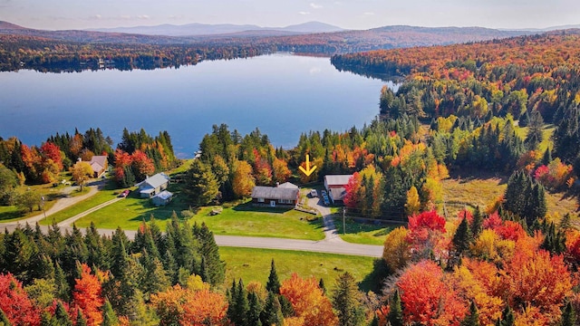 drone / aerial view featuring a water and mountain view