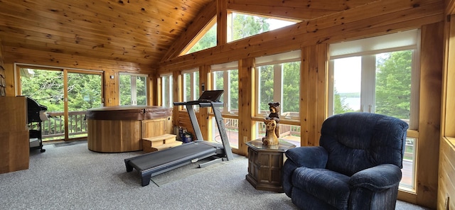 exercise room with carpet, a wealth of natural light, and lofted ceiling