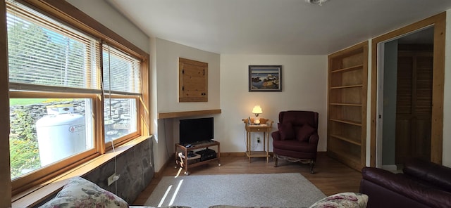 living room with hardwood / wood-style floors and built in features