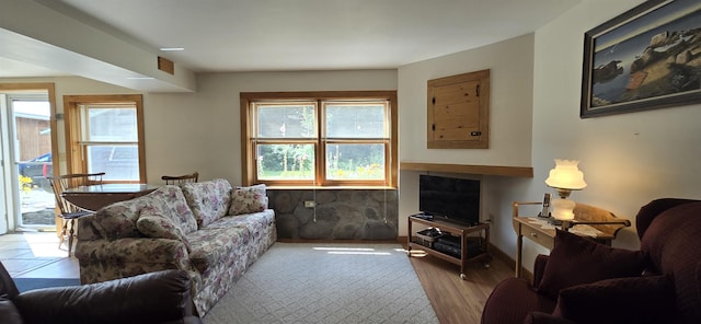 living room featuring light hardwood / wood-style floors