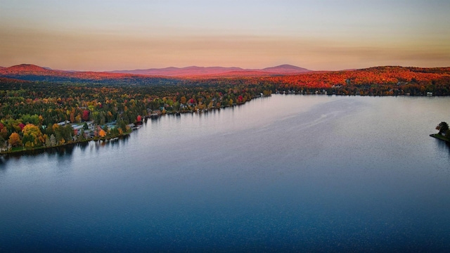 water view with a mountain view