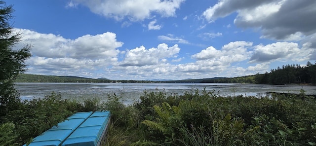 view of water feature