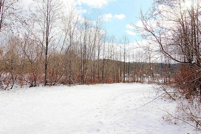 view of yard layered in snow