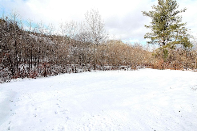 view of yard covered in snow