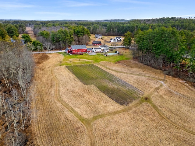 drone / aerial view featuring a rural view