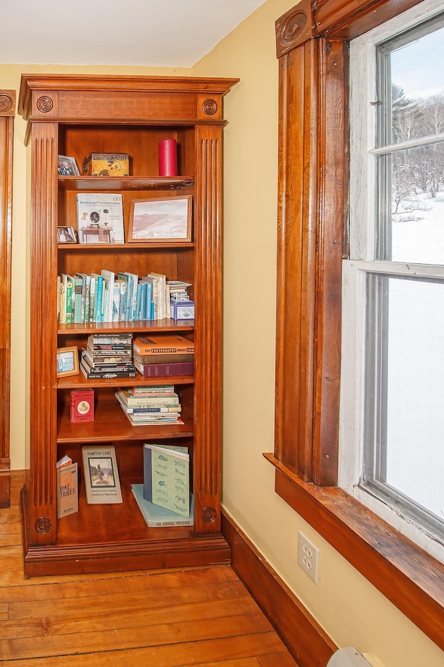 interior details with hardwood / wood-style flooring