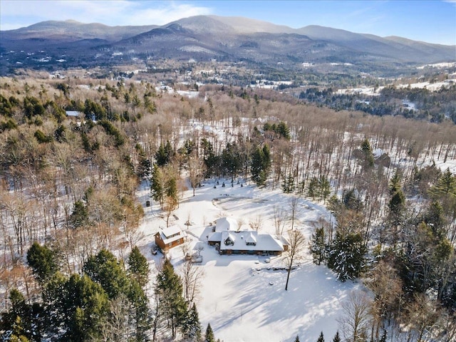 snowy aerial view with a mountain view